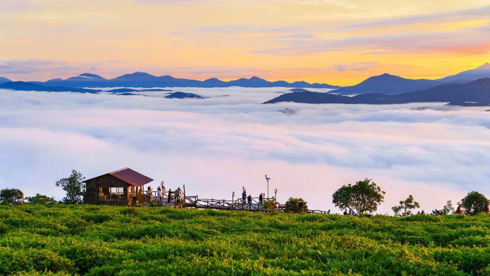 Da Lat Off the Beaten Path: 8 Hidden Gems Most Tourists Miss