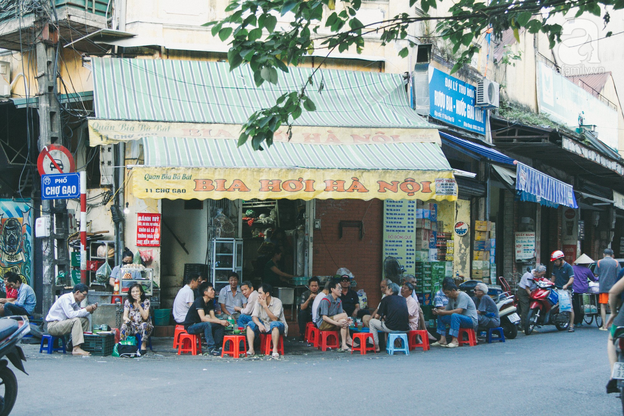 Bia Hoi Alley: The Only Correct Way to Spend a Sweaty Evening in Hanoi