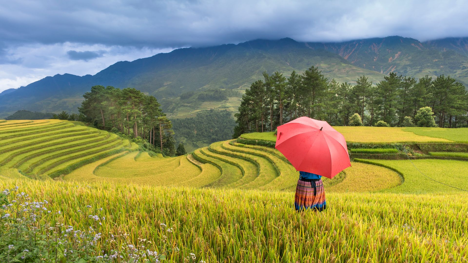 The 6 Rice Terrace Viewpoints in Sapa Worth Your Legs (And 2 That Aren't)