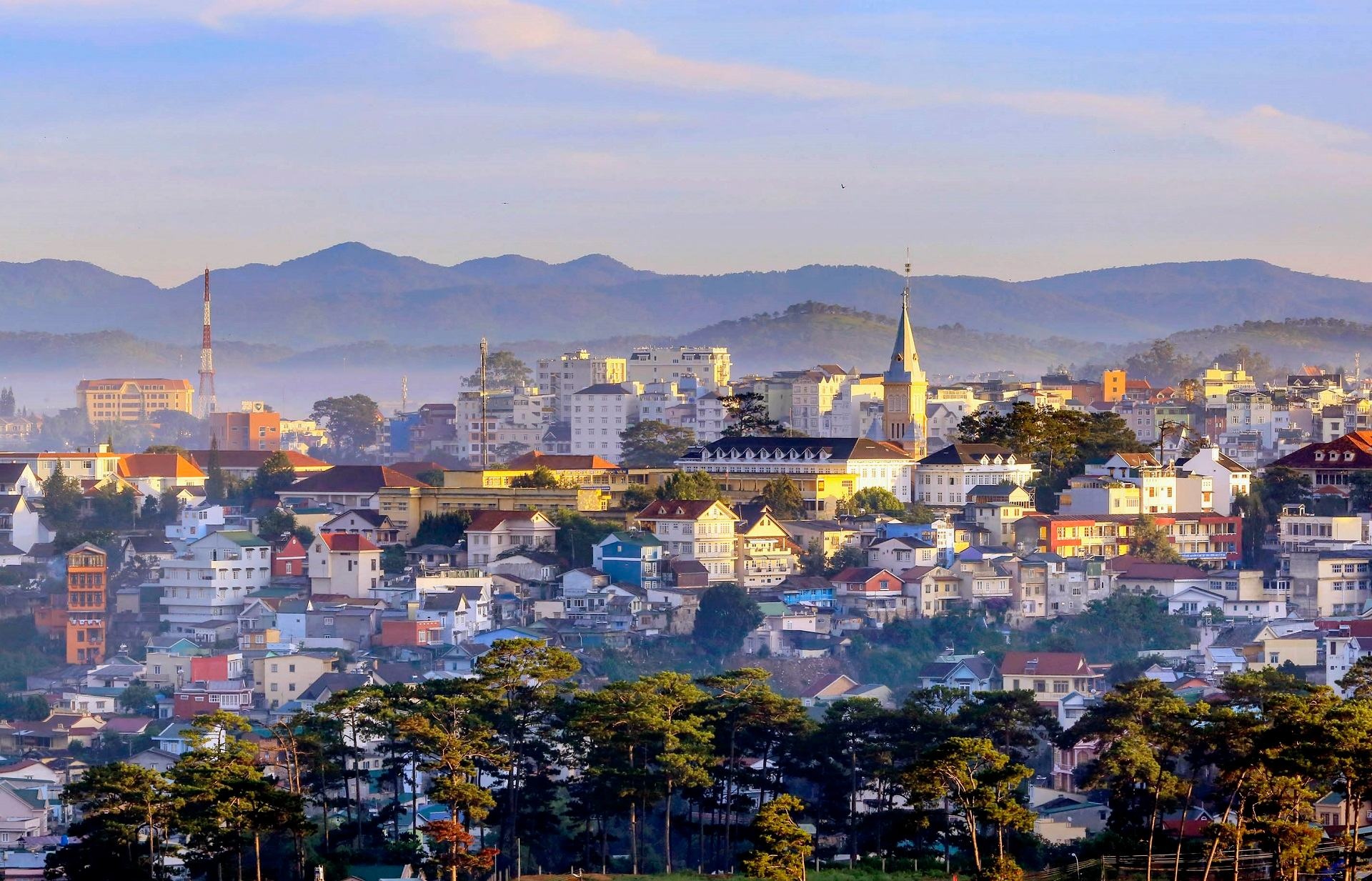 How Much Does Da Lat Cost? A Realistic Daily Budget Breakdown (2026)