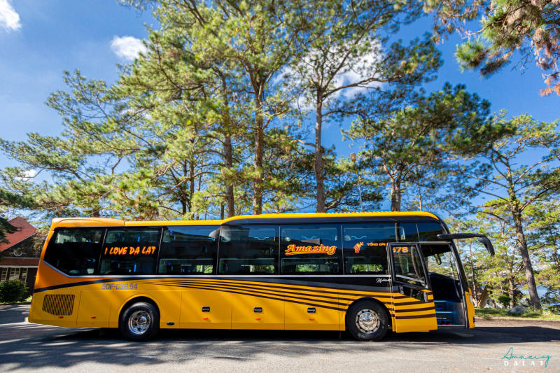 Da Lat from Saigon: How to Get There & the Best Transport Options (2026)
